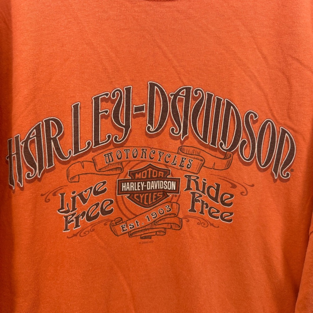 Vintage HarleyDavidson T Shirt Men 2XL Motorcycle Bike Biker Hog USA Made Texas